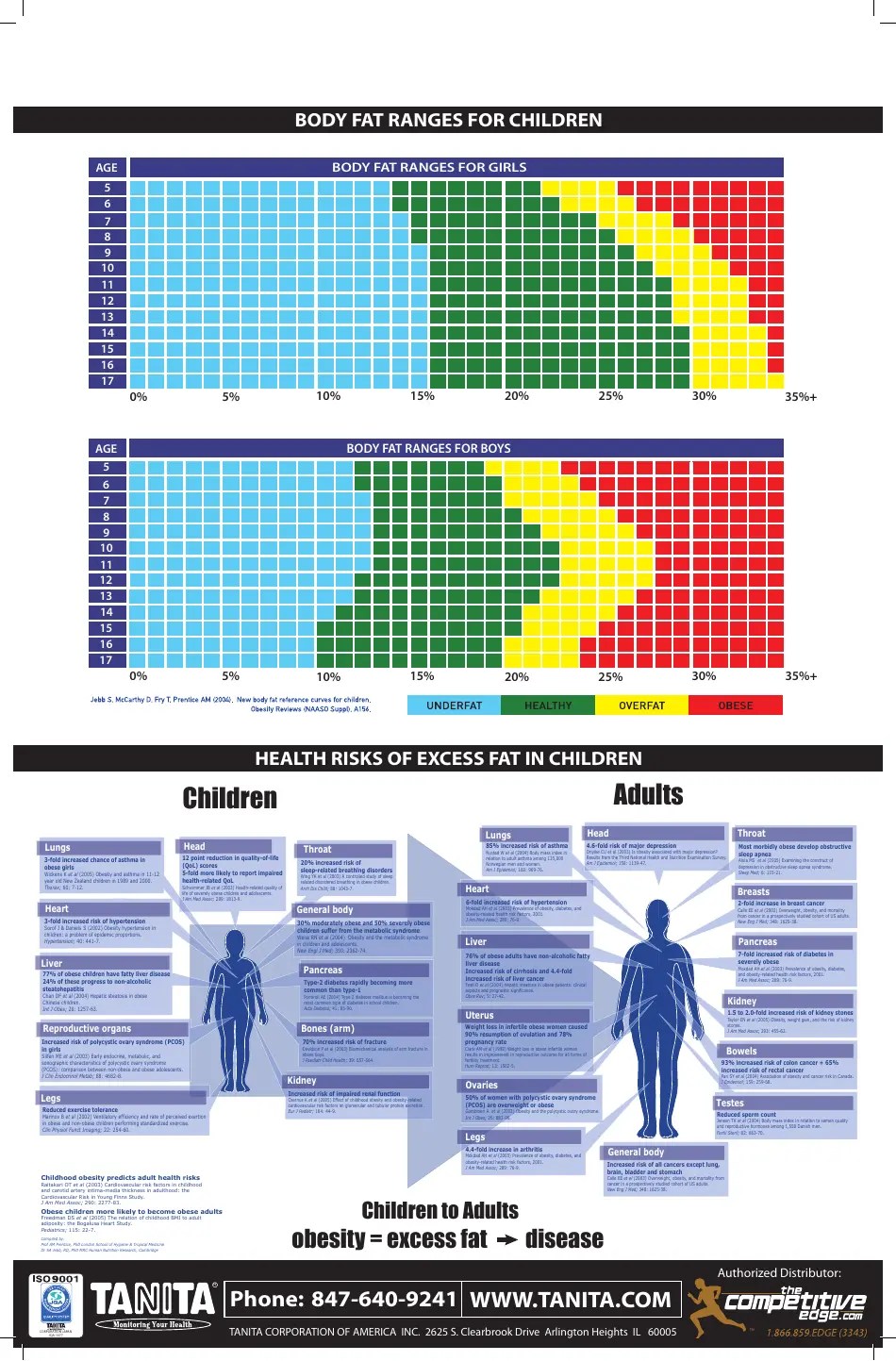 Body Fat Ranges for Standard Adults, Body Mass Index (BMI), Body Fat