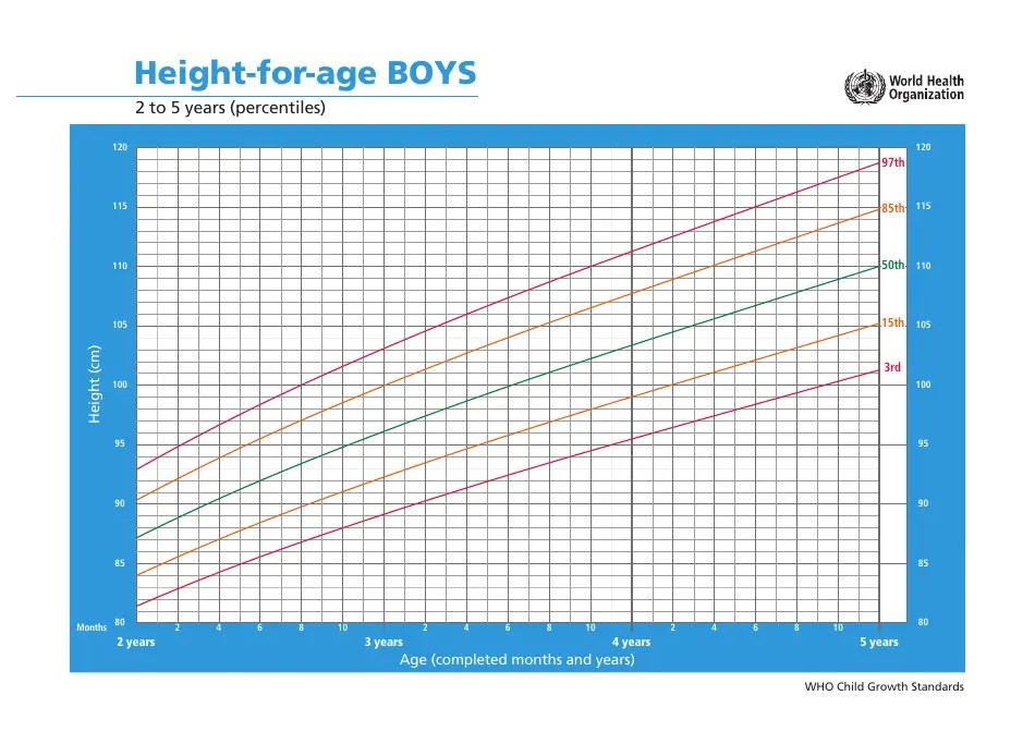 Who Boys Growth Chart HeightForAge, 2 to 5 Years (Percentiles
