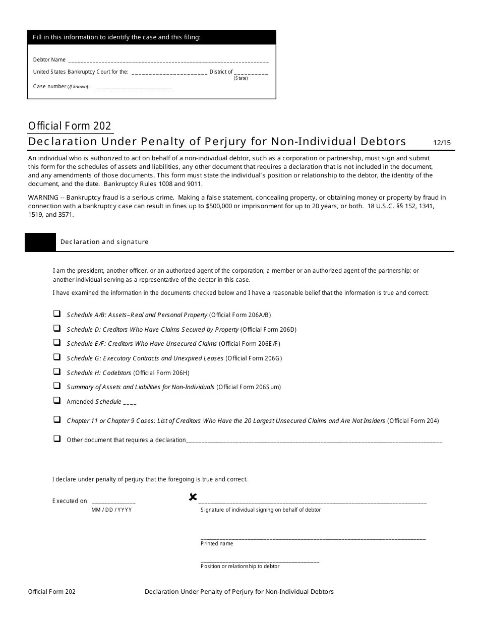 Official Form 202 Fill Out, Sign Online and Download Printable PDF