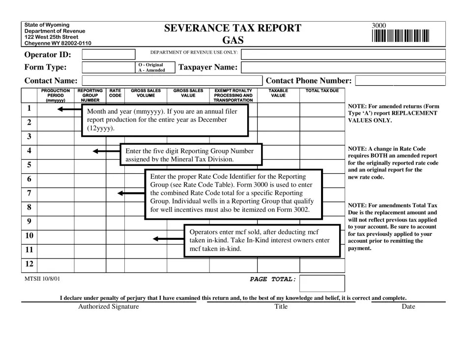 Form 3000 Fill Out, Sign Online and Download Printable PDF, Wyoming