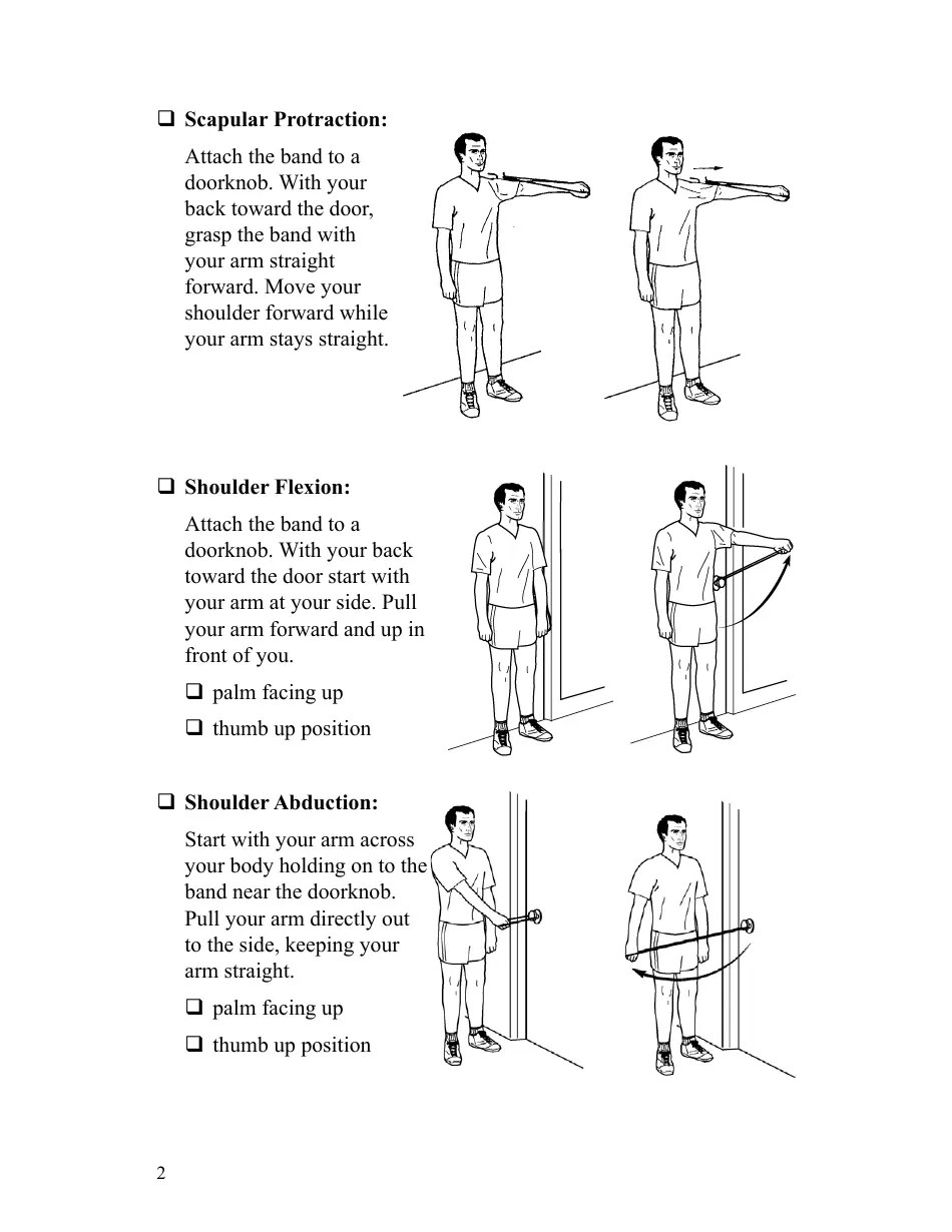 Scapular Shoulder and Elbow Theraband Exercise Chart Download Printable