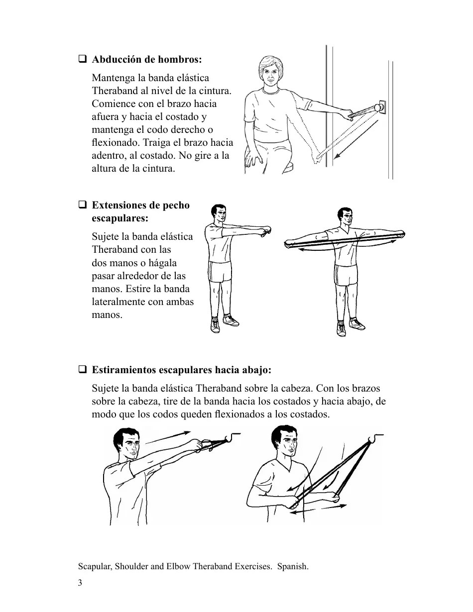 Scapular Shoulder and Elbow Theraband Exercise Chart Download Printable