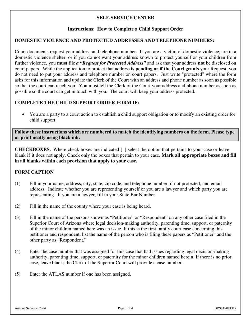 Download Instructions for Form DRS81F Child Support Order PDF