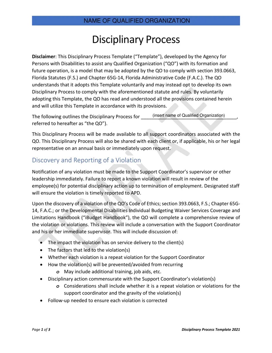 Florida Disciplinary Process Template Fill Out, Sign Online and