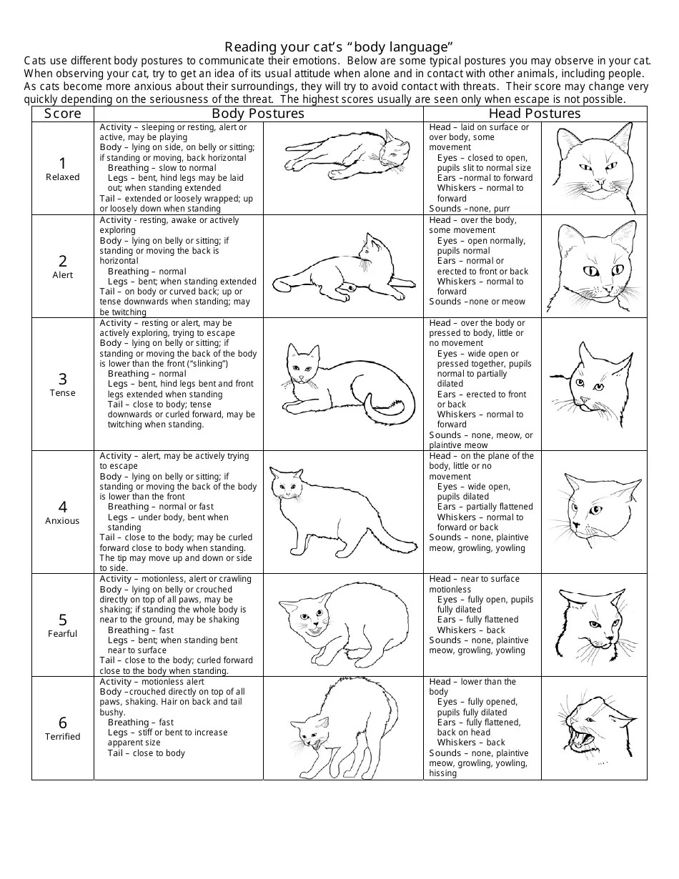 Cat Body Language Chart Reading Your Cat's Mood Download Printable PDF Templateroller