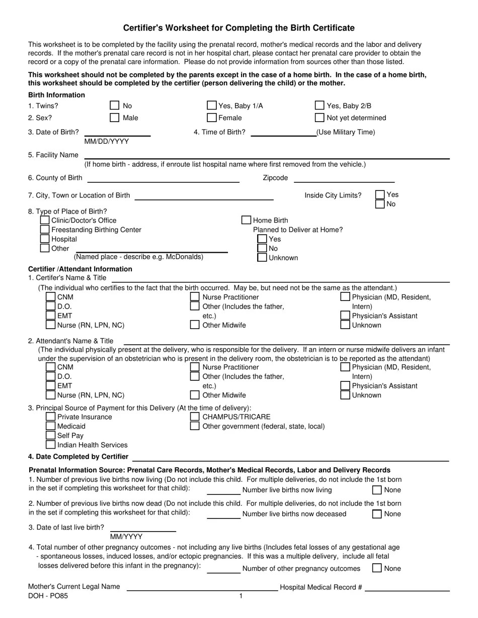 South Dakota Certifier's Worksheet for Completing the Birth Certificate