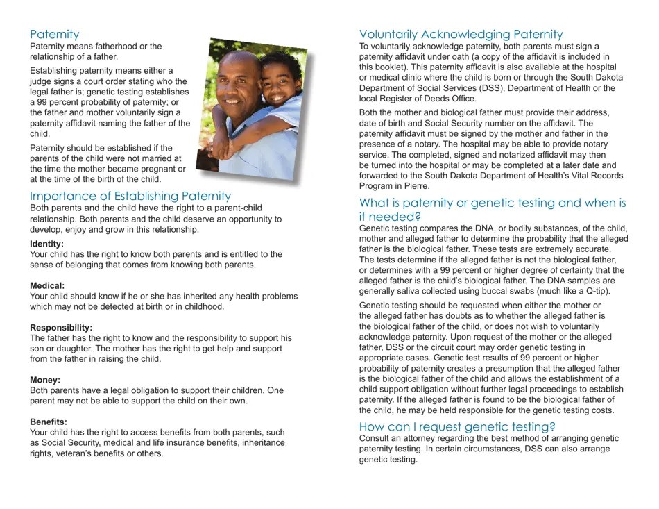 Form DCS06 Fill Out, Sign Online and Download Printable PDF, South