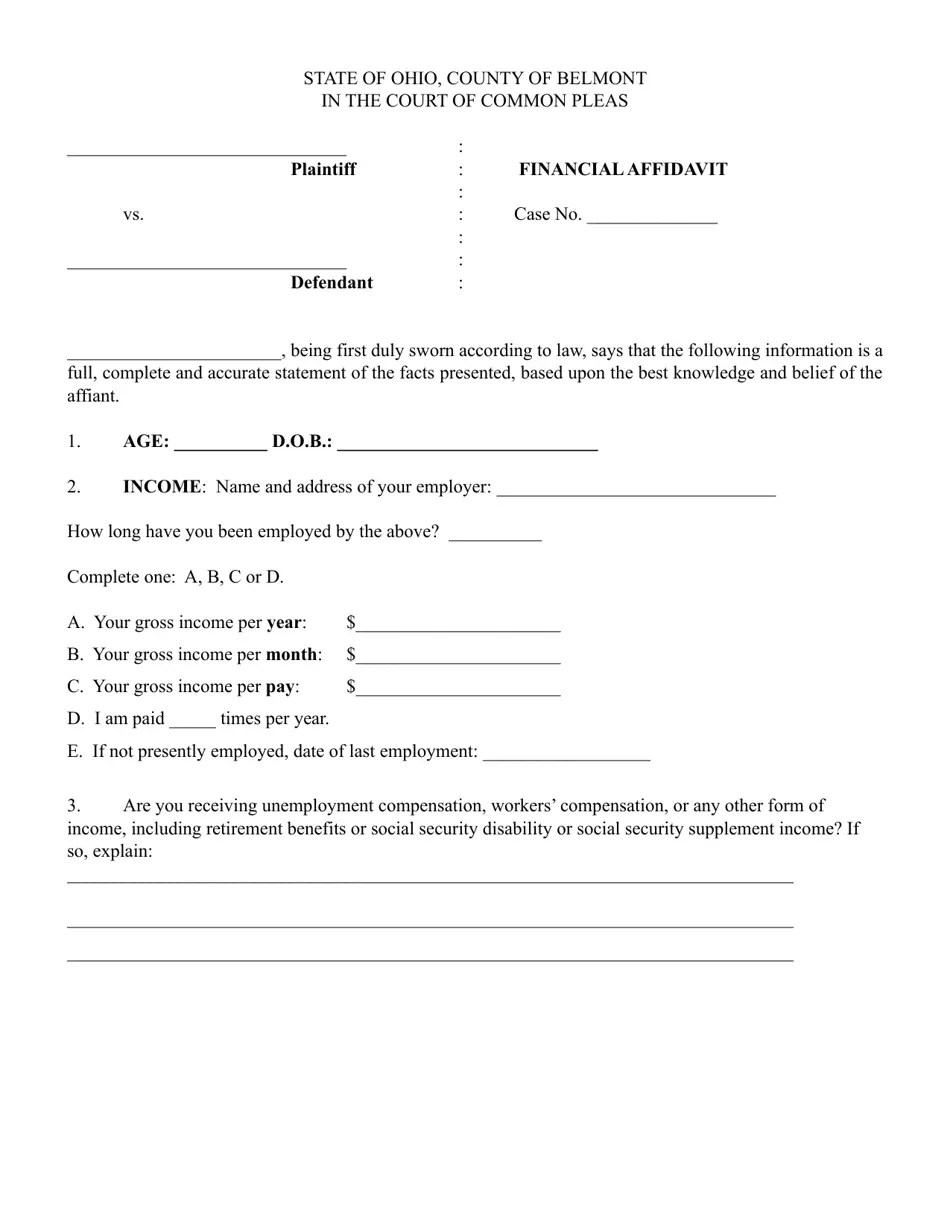 Belmont County, Ohio Financial Affidavit Download Printable PDF
