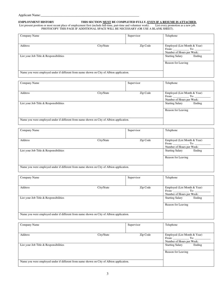 City of Albion, Michigan Application for Employment Fill Out, Sign