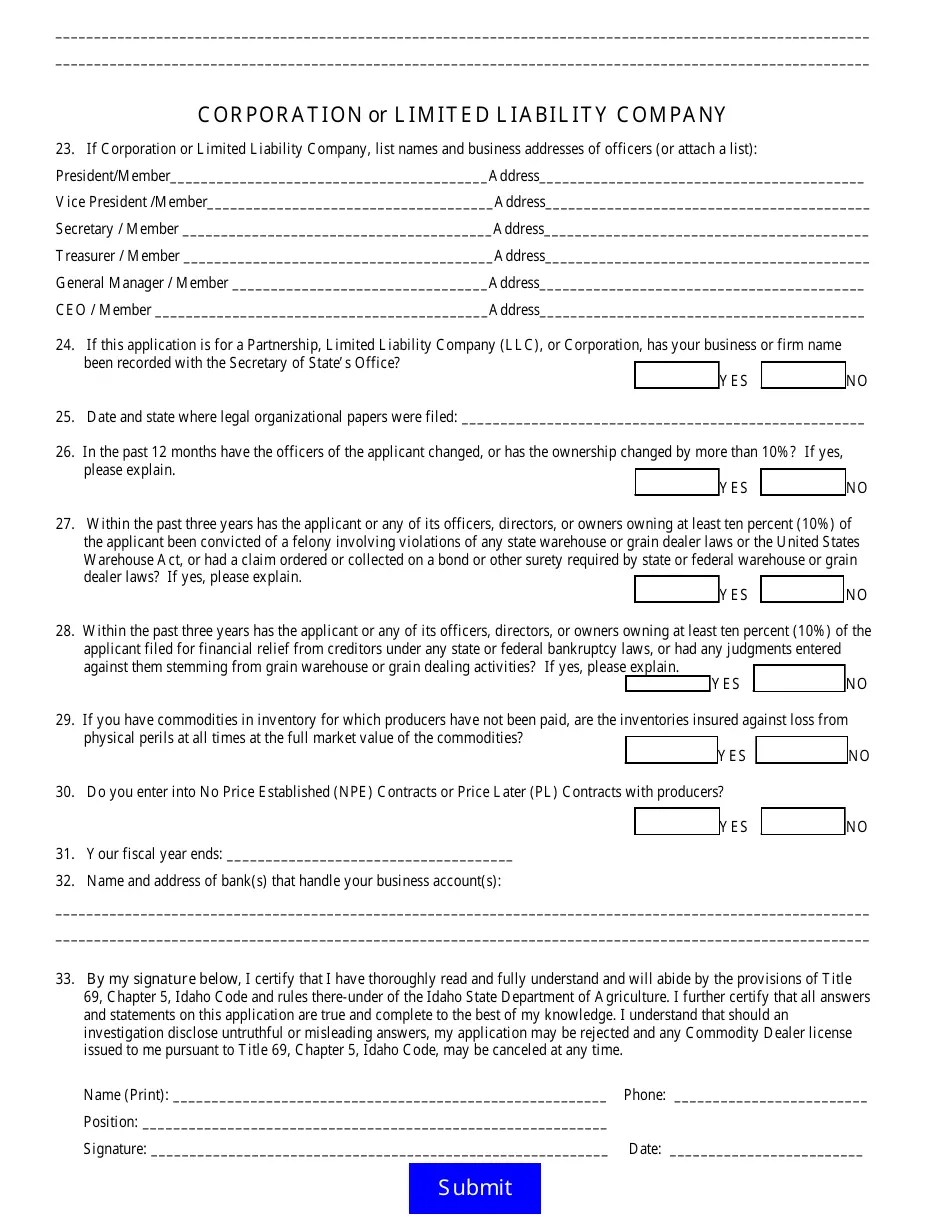 Form IS11 Fill Out, Sign Online and Download Fillable PDF, Idaho