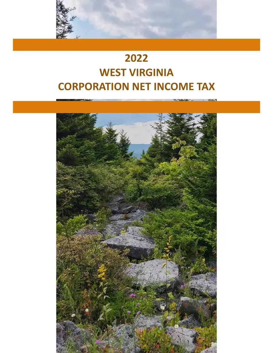 Download Instructions for Form CIT120 West Virginia Corporation Net Tax Return PDF, 2022