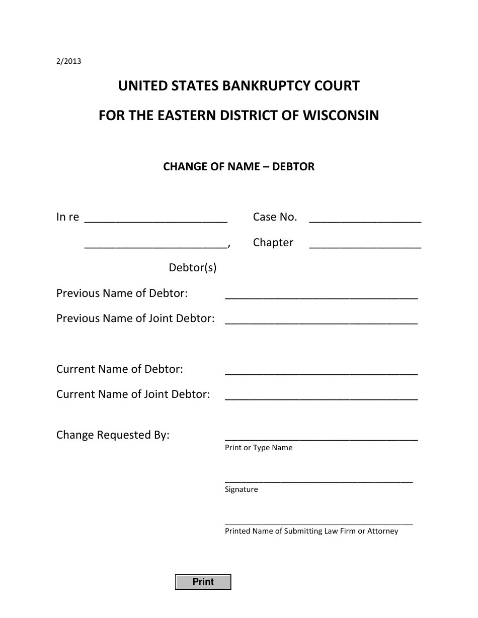 Wisconsin Change of Name Debtor Fill Out, Sign Online and Download