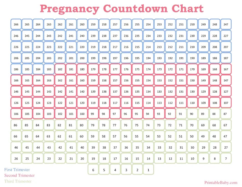 Pregnancy Countdown Chart Download Printable PDF Templateroller