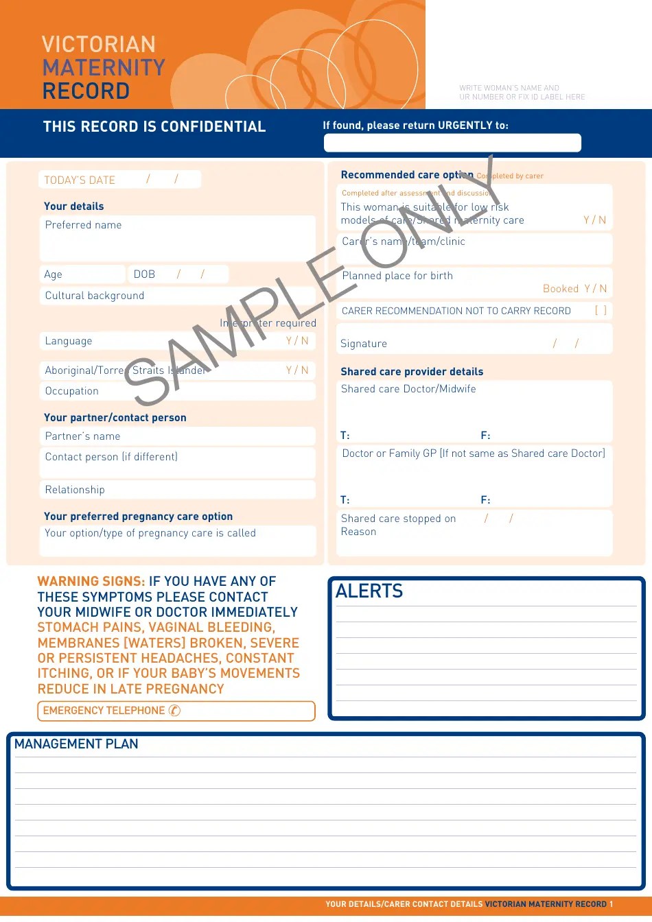 Maternity Record Sample Download Printable PDF Templateroller