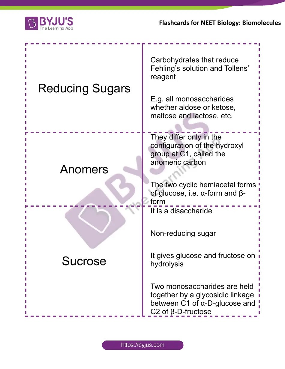 Biology Flashcards Biomolecules Download Printable PDF Templateroller