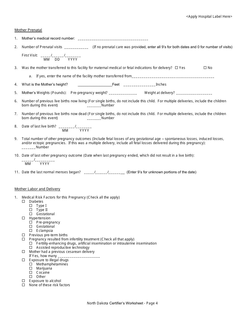 North Dakota Certifier's Worksheet for Completing the North Dakota Birth Certificate Download