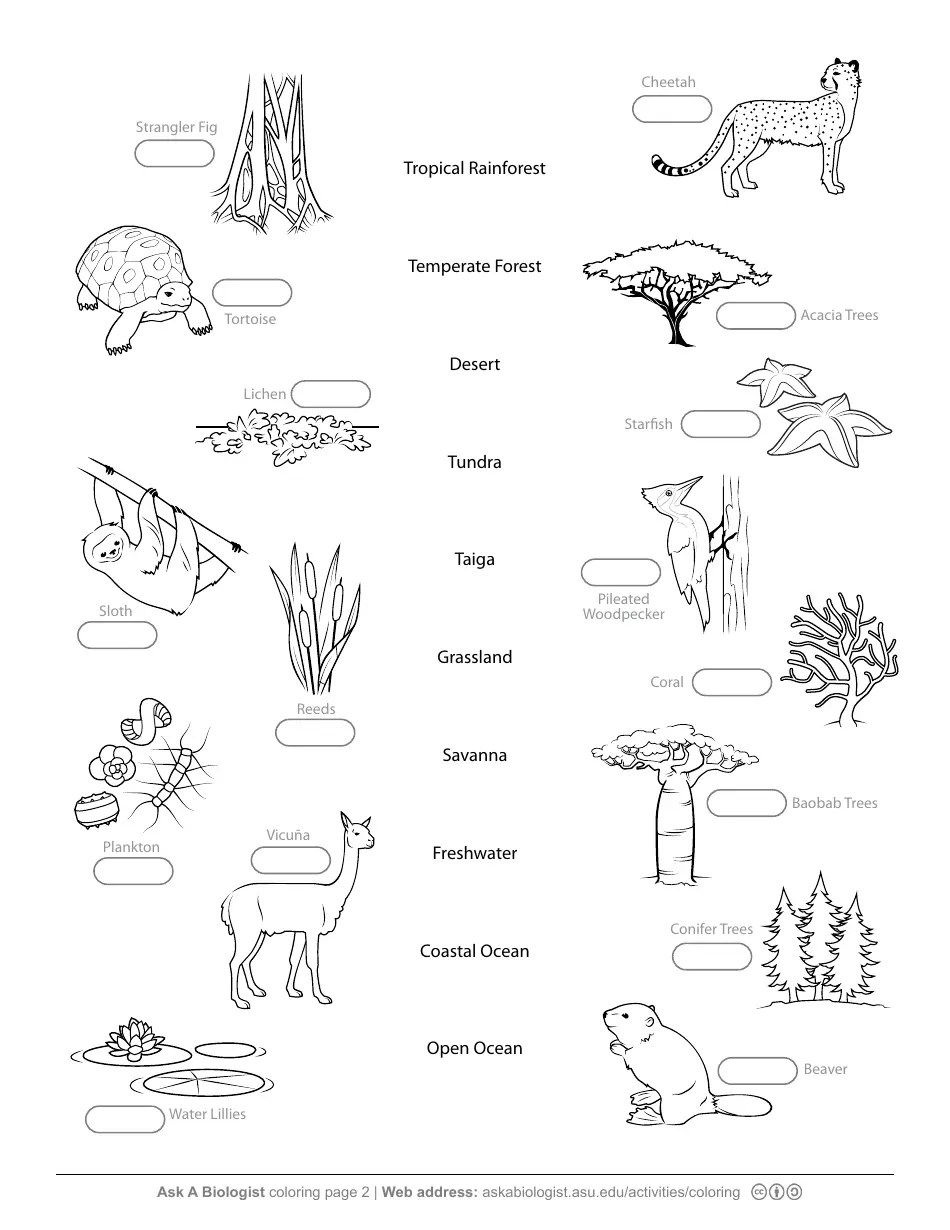 Biome Organism Matching Game Worksheet Download Printable PDF