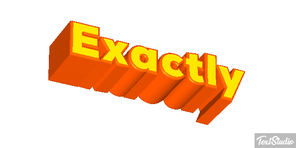 Exactly Word Animated GIF Logo Designs
