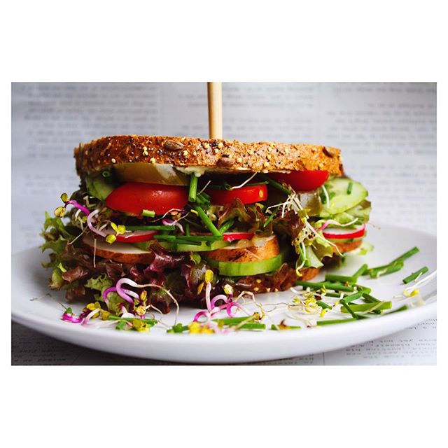 Sauerkraut And Hummus Sandwich Recipe The Feedfeed