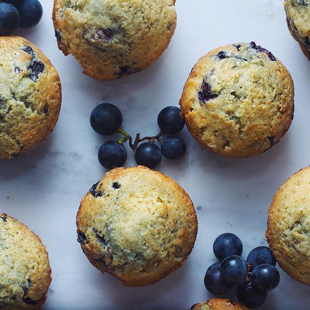 Concord Grape Muffins Recipe The Feedfeed