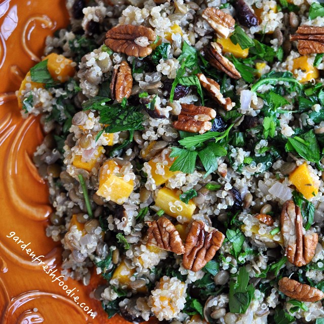 Quinoa Miso Salad With Lentils, Roasted Butternut Squash & Cranberries