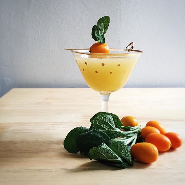 Kumquat Sour Cocktail Recipe The Feedfeed