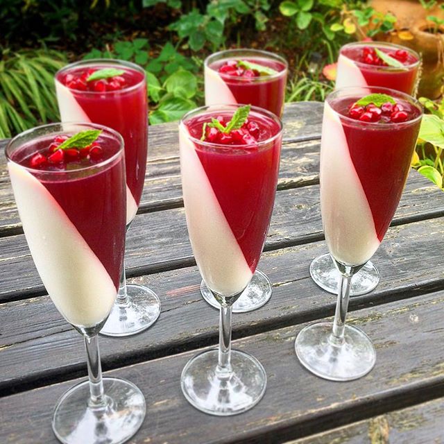 Vanilla & Yoghurt Panna Cotta With Pomegranate Jelly Recipe The Feedfeed