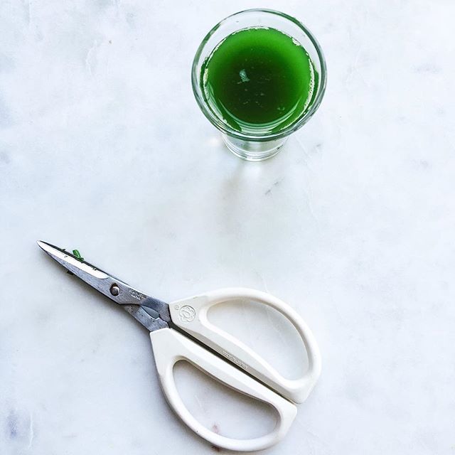 Asparagus Juice Recipe The Feedfeed