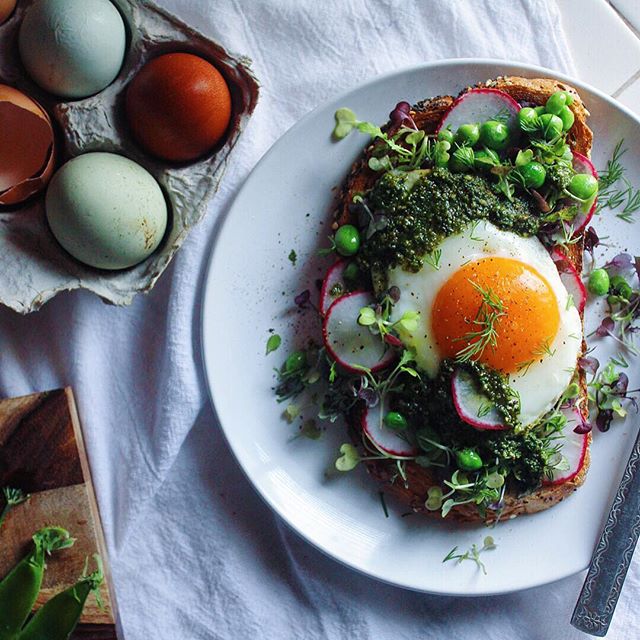250+ of the Best Breakfast Eggs Recipes on FeedFeed