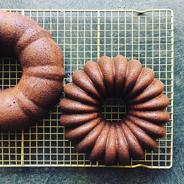 Buttermilk Gingerbread Bundt Cake Recipe The Feedfeed