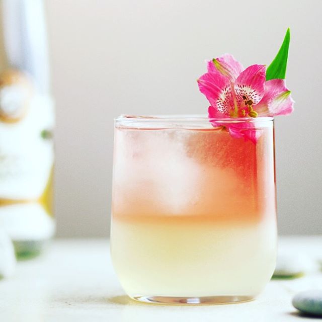 Rosé Wine Floater Recipe The Feedfeed