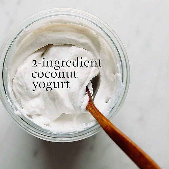 Coconut Yogurt Recipe The Feedfeed