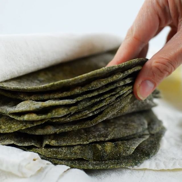 Homemade Spinach Tortillas Recipe The Feedfeed