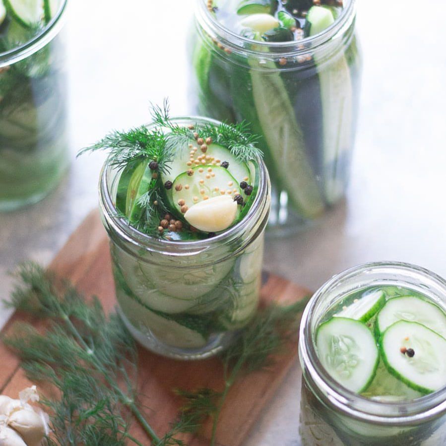 Garlic Dill Pickles Recipe The Feedfeed