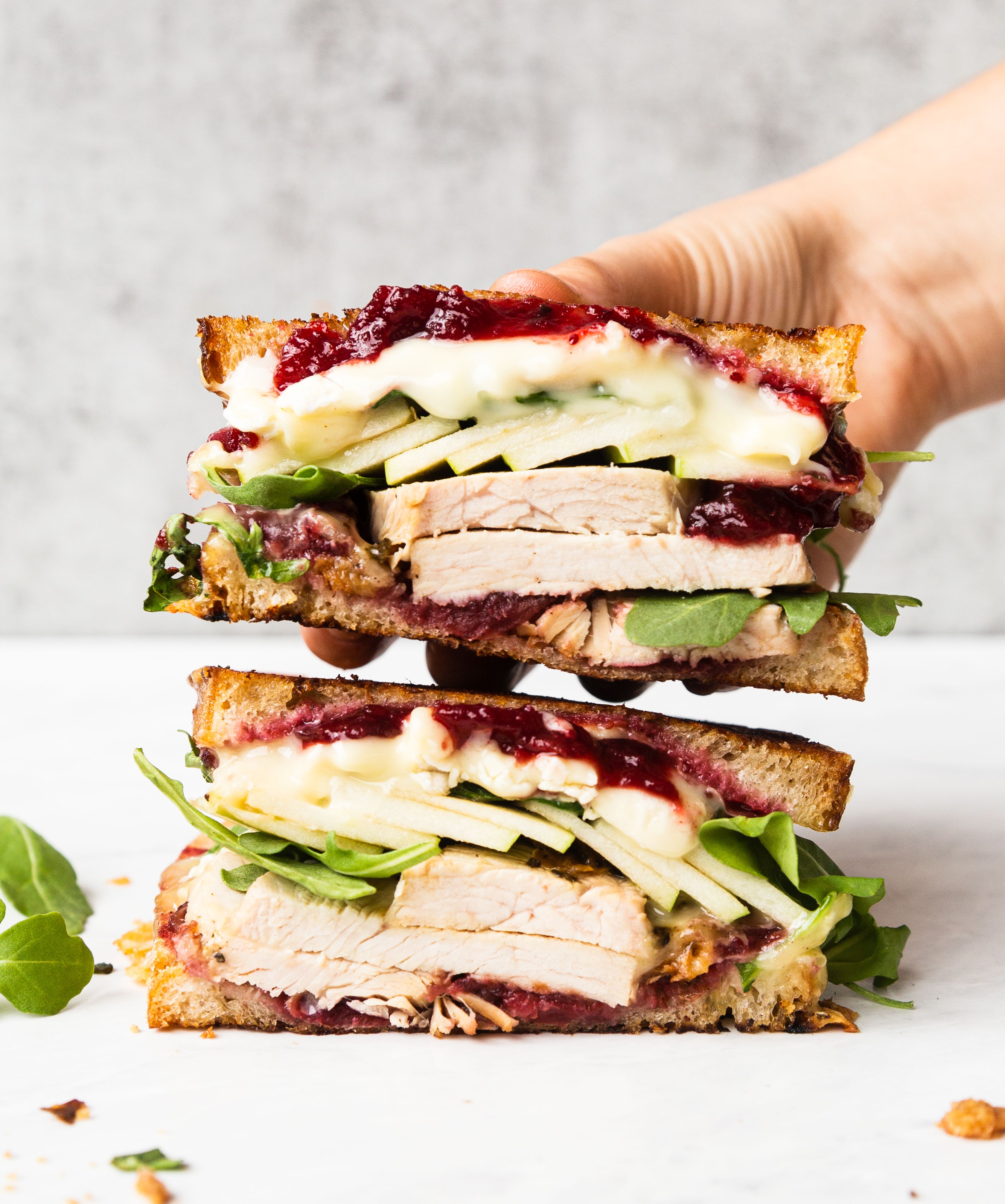 Leftover Turkey Panini with Cranberry Sauce, Apples, and Brie Recipe The Feedfeed