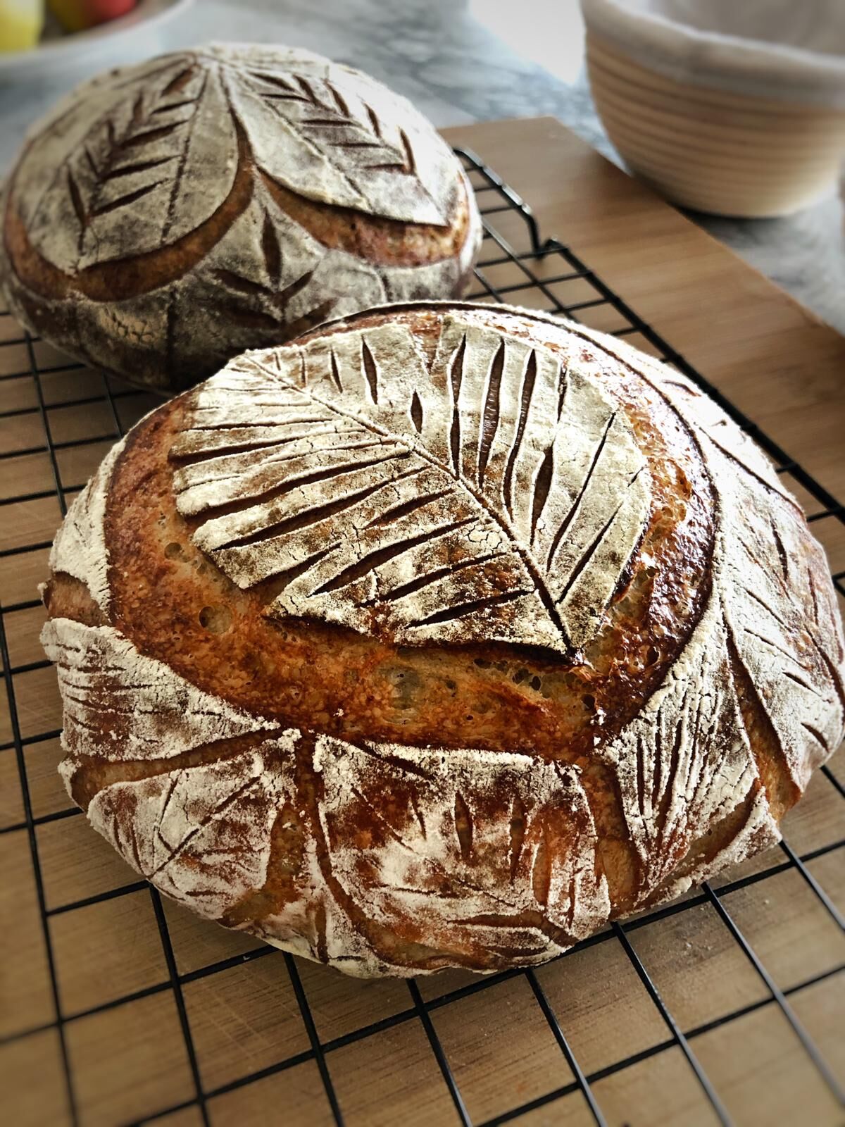 Sourdough Bread Recipe The Feedfeed