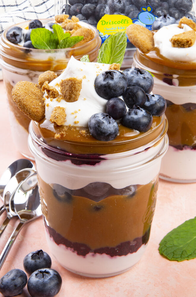 Oat Milk Pudding Parfaits with BlueberryChia Jam Recipe The Feedfeed