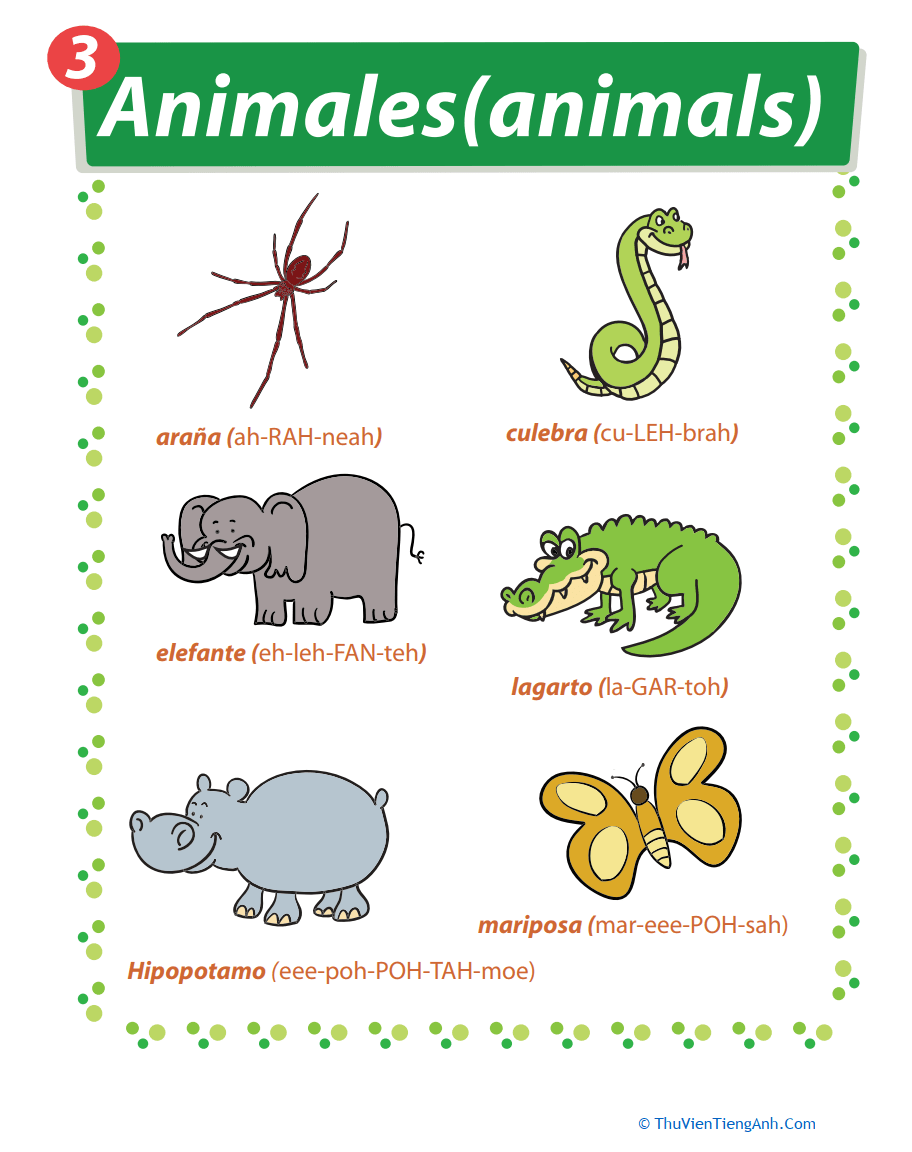 Zoo Animals in Spanish - Thư Viện Tiếng Anh