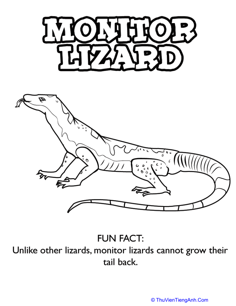 Monitor Lizard Coloring Page Th?? Vi???n Ti???ng Anh