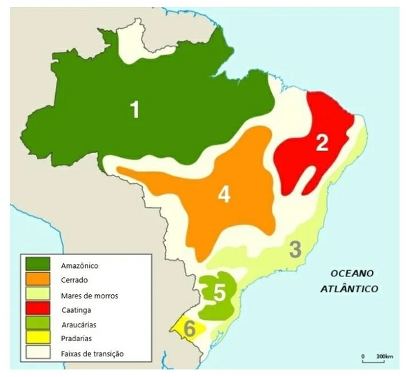 Quiz Brasil Geografia