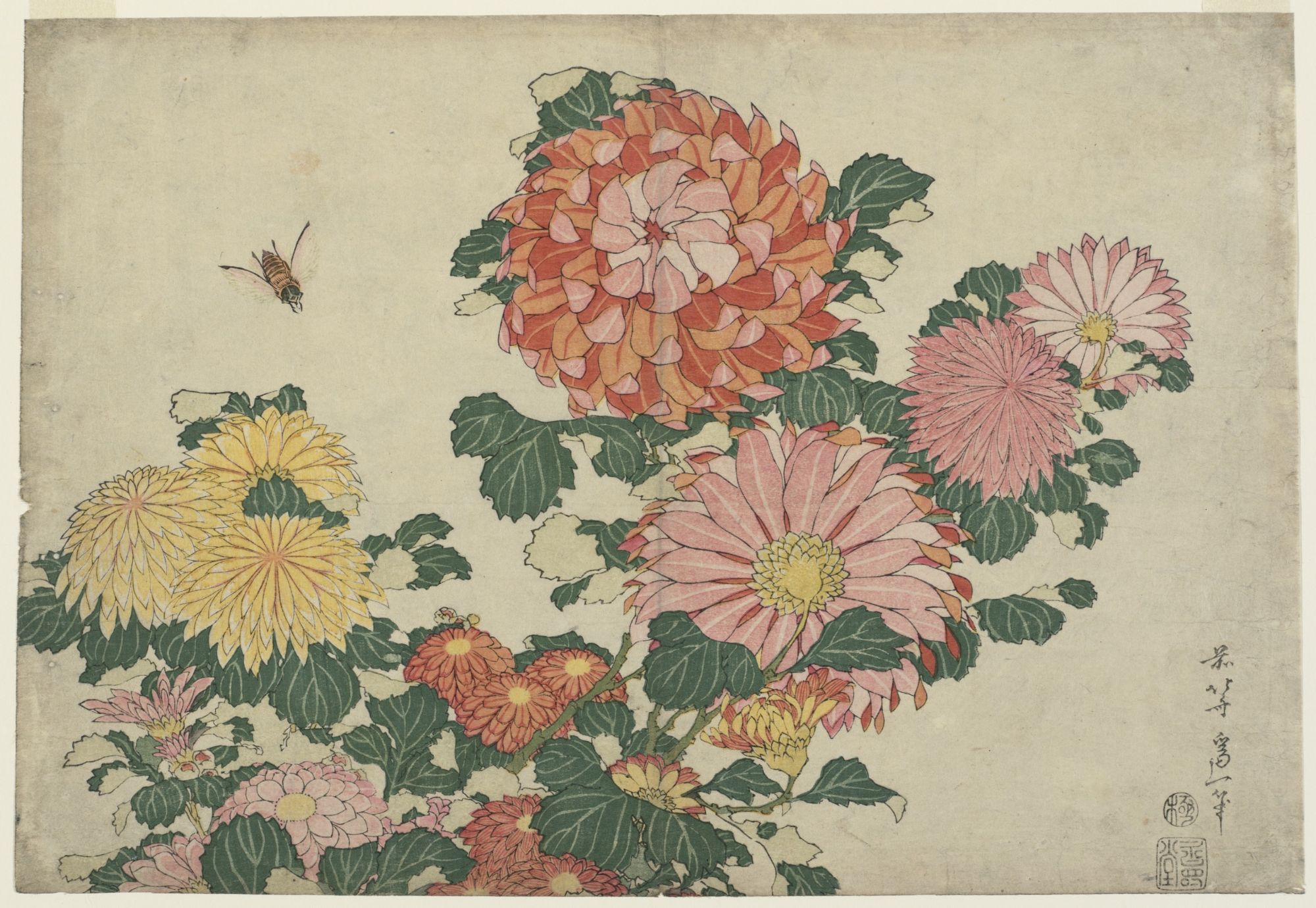 Katsushika Hokusai Chrysanthemums and Horsefly, from an untitled