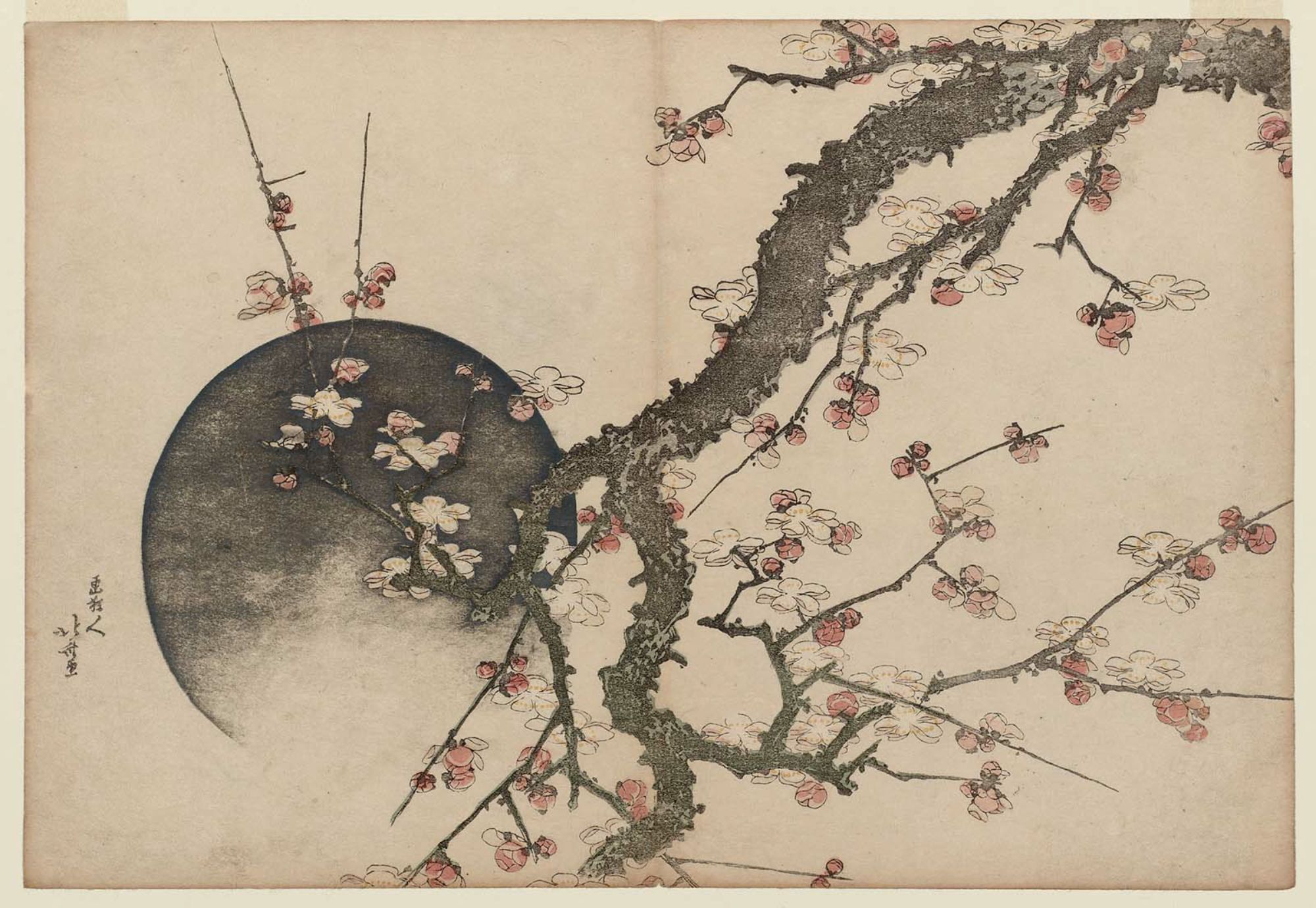 Katsushika Hokusai Plum Blossoms and Moon, from the album Fuji in