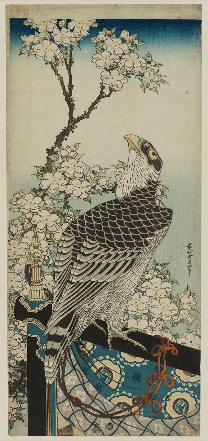 Katsushika Hokusai Hawk and Cherry Blossoms Museum of Fine Arts
