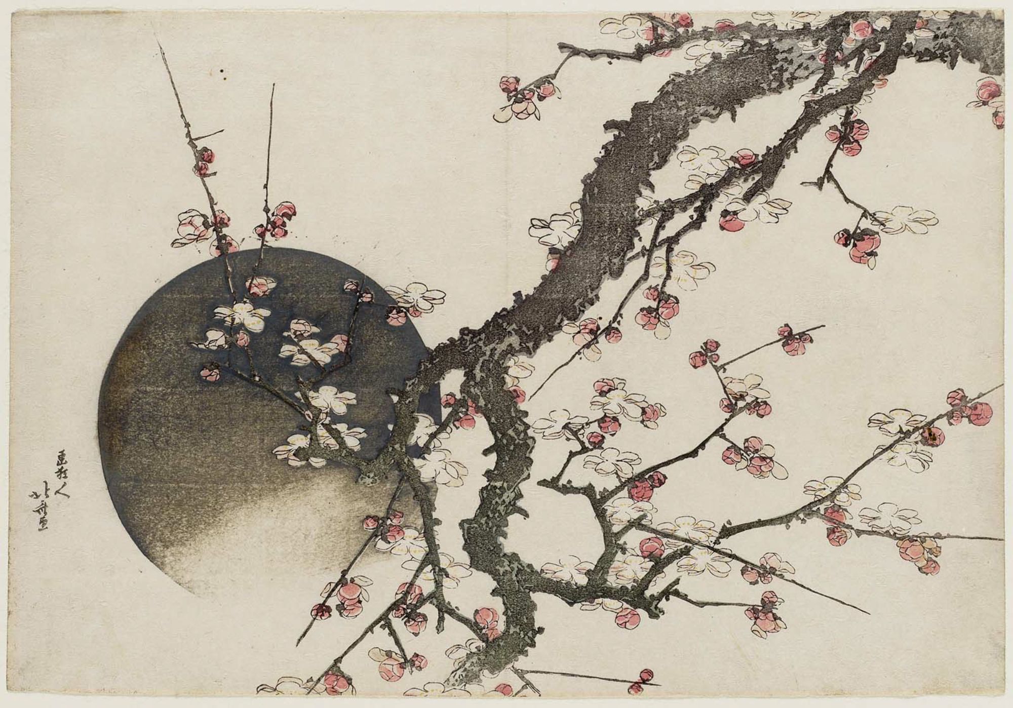 Katsushika Hokusai Plum Blossoms and Moon, from the album Fuji in