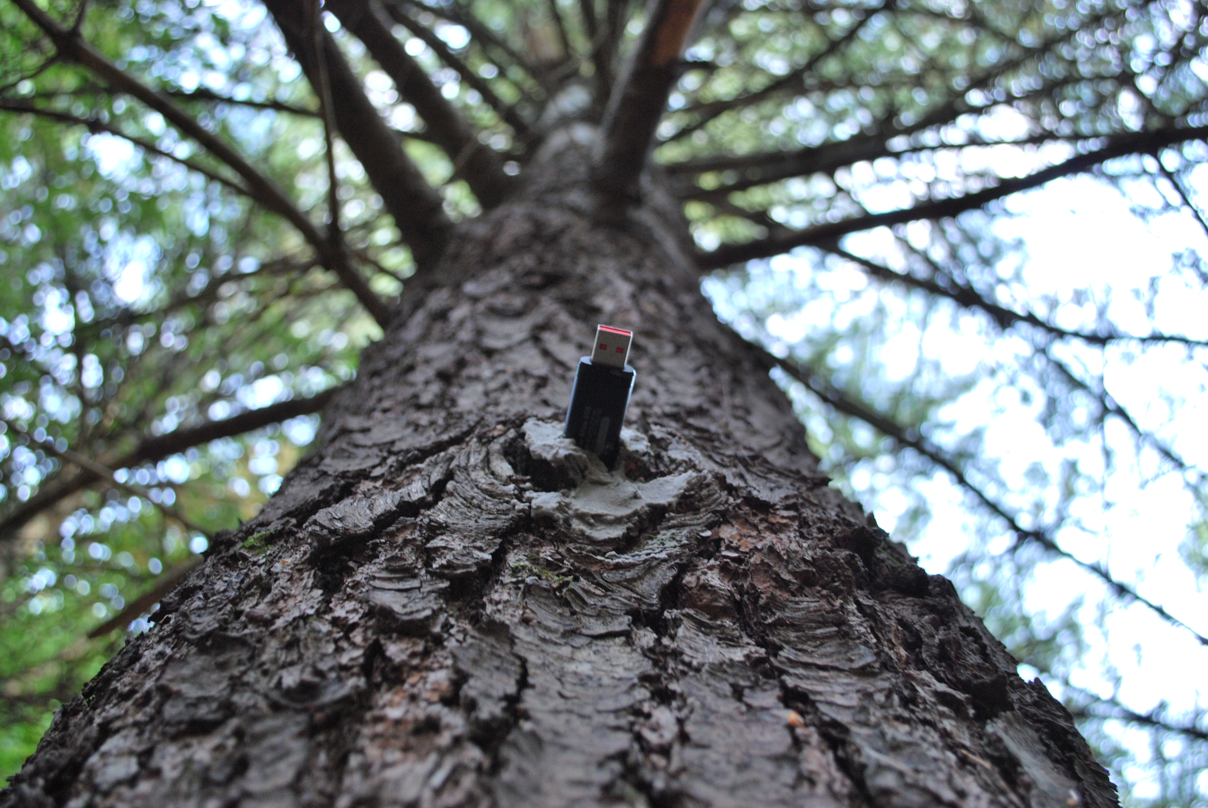 Download [UPDATED] Dead Drop