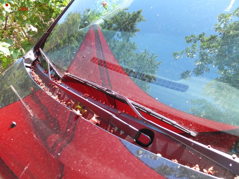 20102018 Mazda 5 Windshield Wiper Blades Replacement