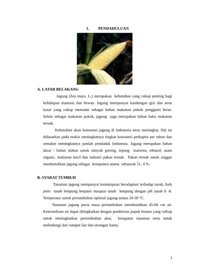 karya ilmiah Budidaya Tanaman Jagung