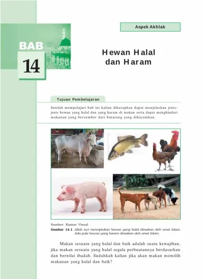BAB 14 BINATANG HALAL DAN HARAM - 14 binatang halal haram