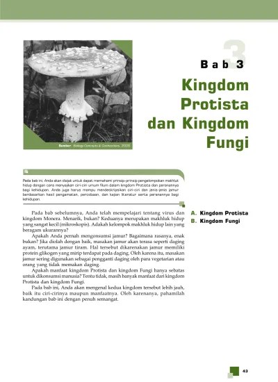 Bab 3 Kingdom Protista dan Kingdom Fungi