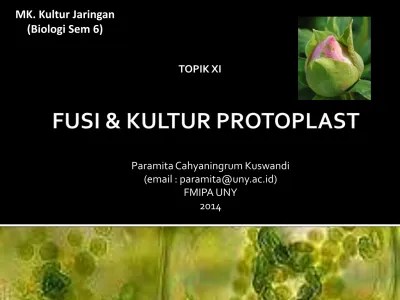 Top PDF Tumbuhan Tingkat Tinggi Dan Tingkat Rend - 123dok.com